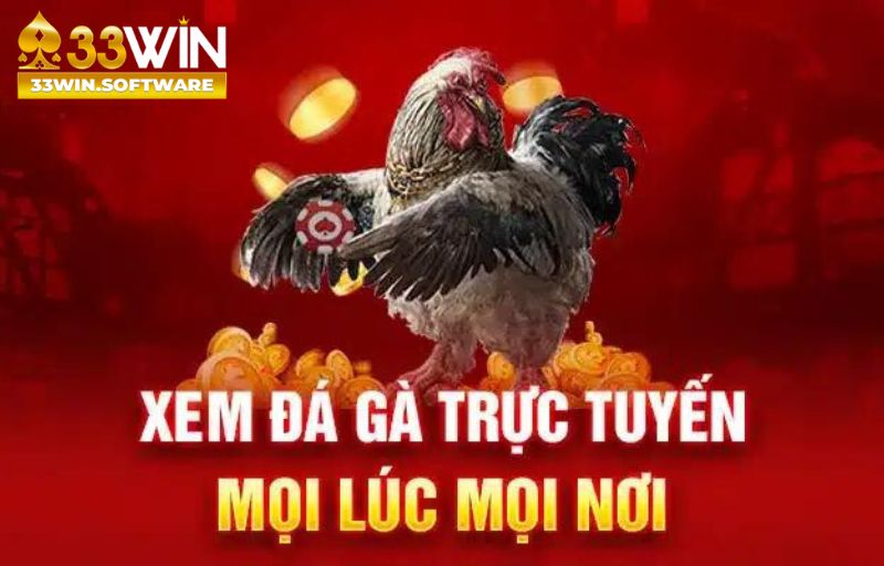 đá gà trực tuyến 33win